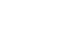 toyota-wit